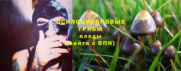 jwh Алзамай